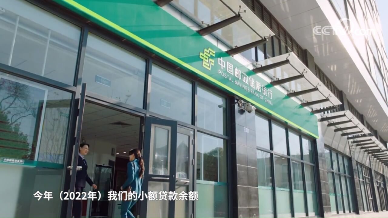 中国邮政:发挥资源优势 助力乡村振兴