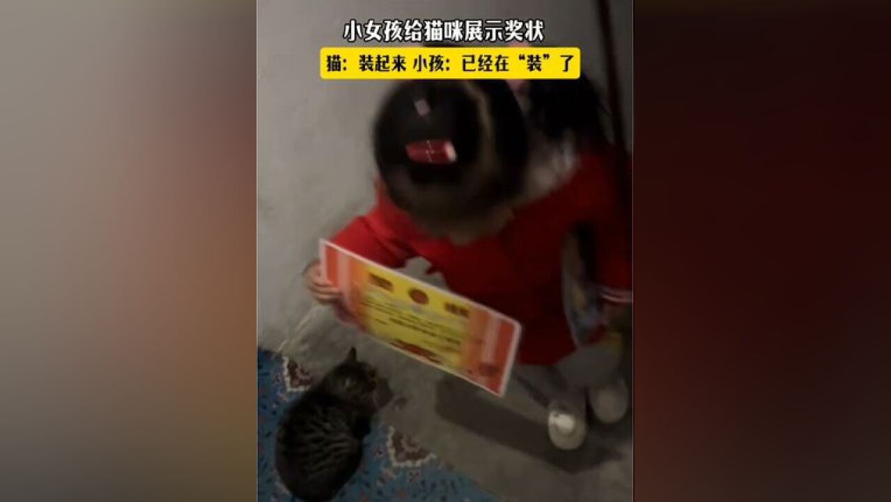 小女孩给猫咪展示奖状!猫:装起来 小孩:已经在“装”了