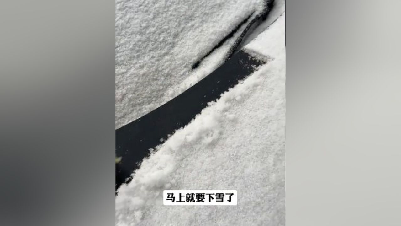 冬季汽车积雪结冰难处理,可以看看这款#除雪铲 ,除雪除霜太方便了一点也不会刮伤车!#除雪必备 #有车必备 #除雪神器