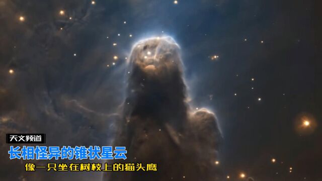 长相怪异的锥状星云,酷似一只坐在树上休息的猫头鹰