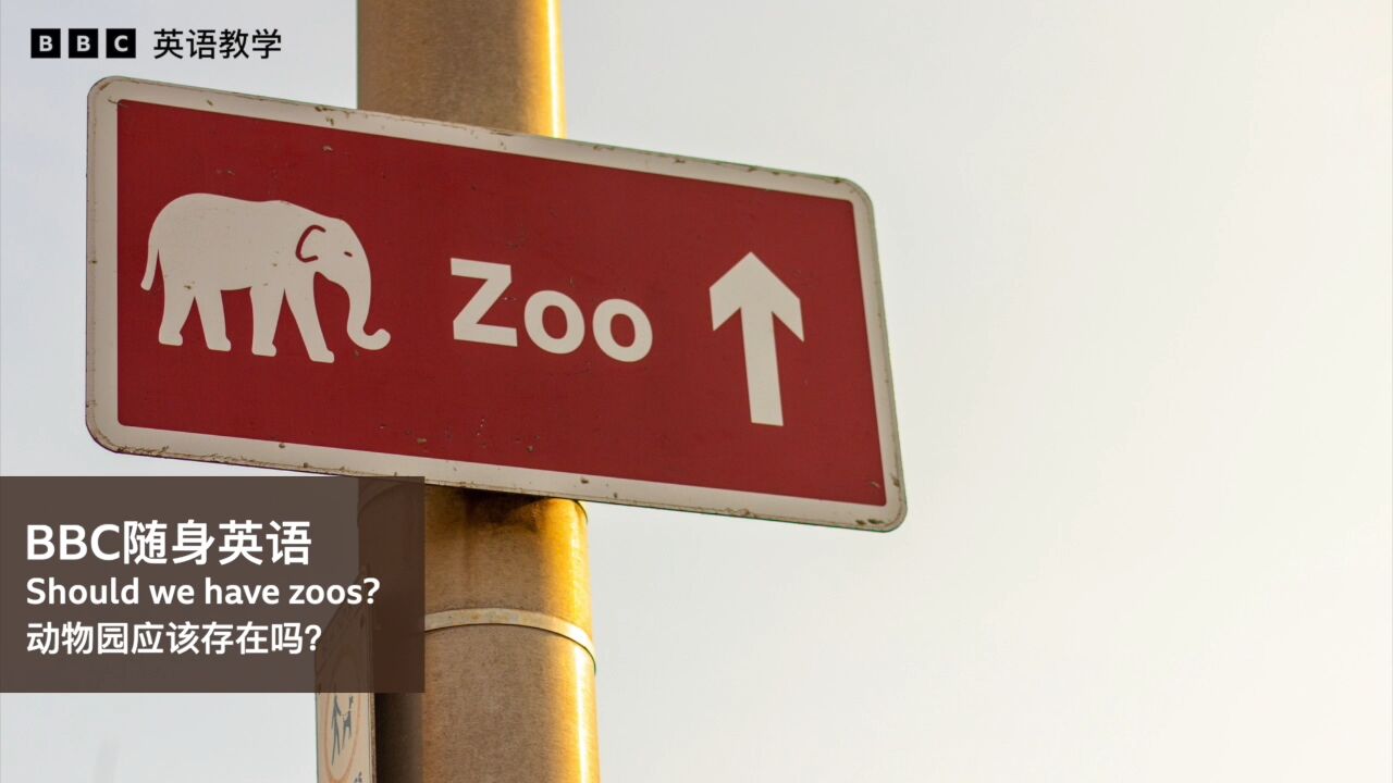 BBC随身英语:Zoos 动物园的存在是好是坏?