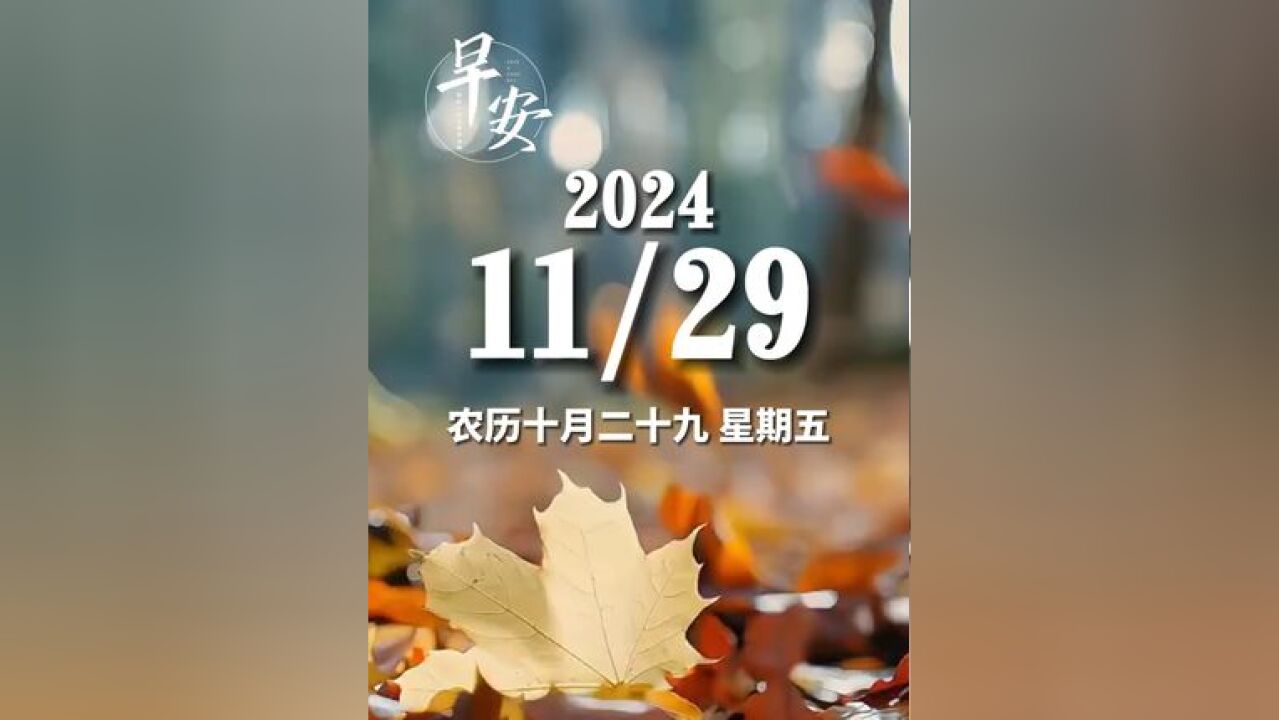 早安青岛 今天是11月29日 星期五 早安 每天进步一点点,让改变悄然发生