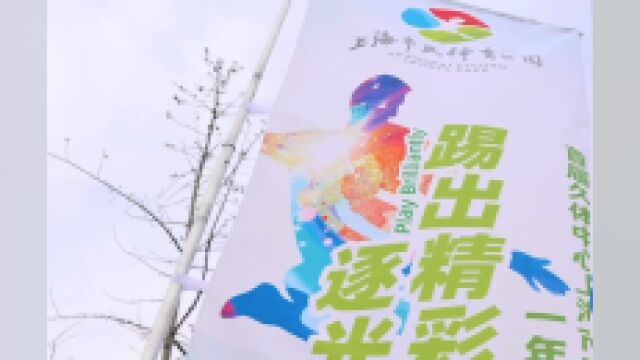 首届上海市民体育公园“一年一度体娱嘉”主题活动开幕