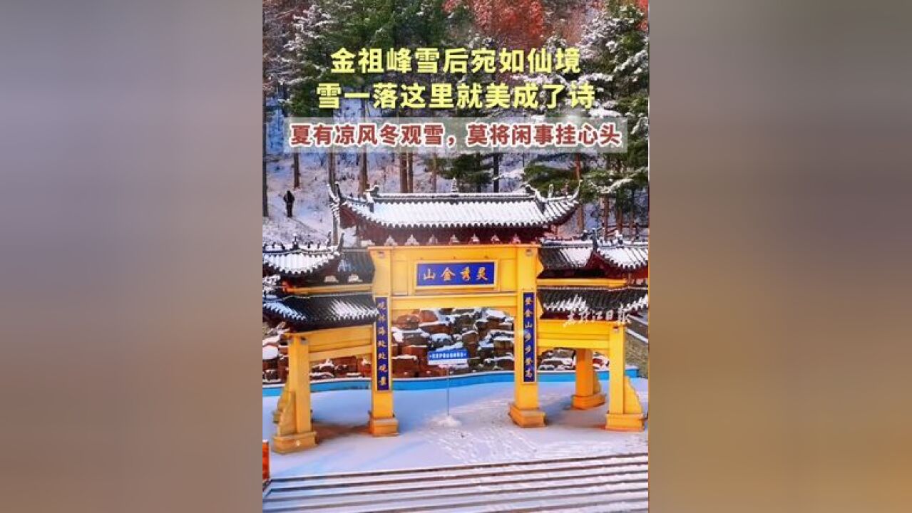 夏有凉风冬观雪,莫将闲事挂心头!金祖峰雪后宛如仙境 雪一落这里就美成了诗