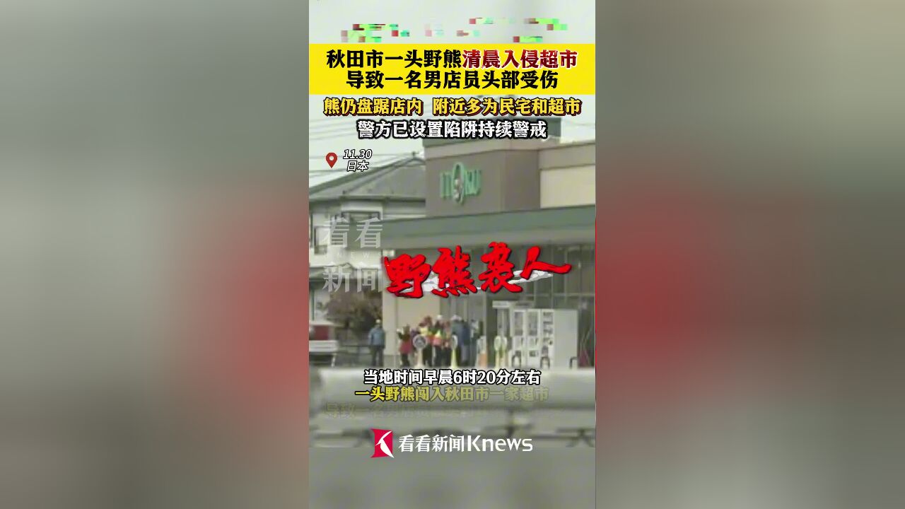 日本野熊入侵超市致1名店员受伤 警方已设置陷阱