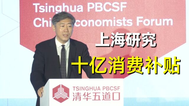 李稻葵:上海拿出10亿补贴消费者,全国可适当推广