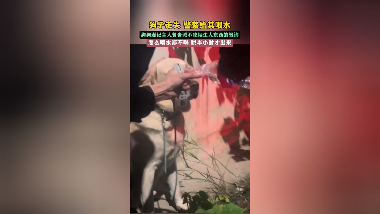 江西南昌.狗子走失 警察给其喂水,狗狗谨记主人曾告诫不吃陌生人东西的教诲.