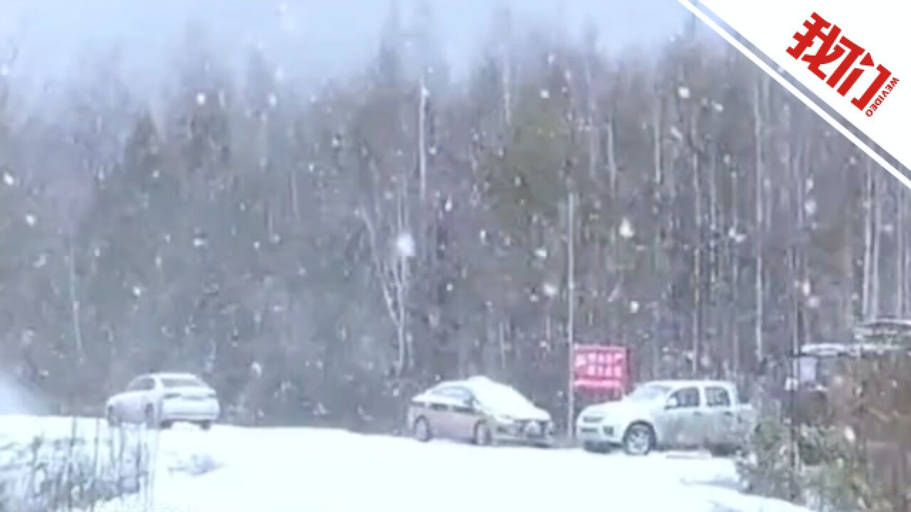 黑龙江漠河大雪纷飞满地洁白 居民:漠河的春季就是冰雪融化 达不到春暖花开