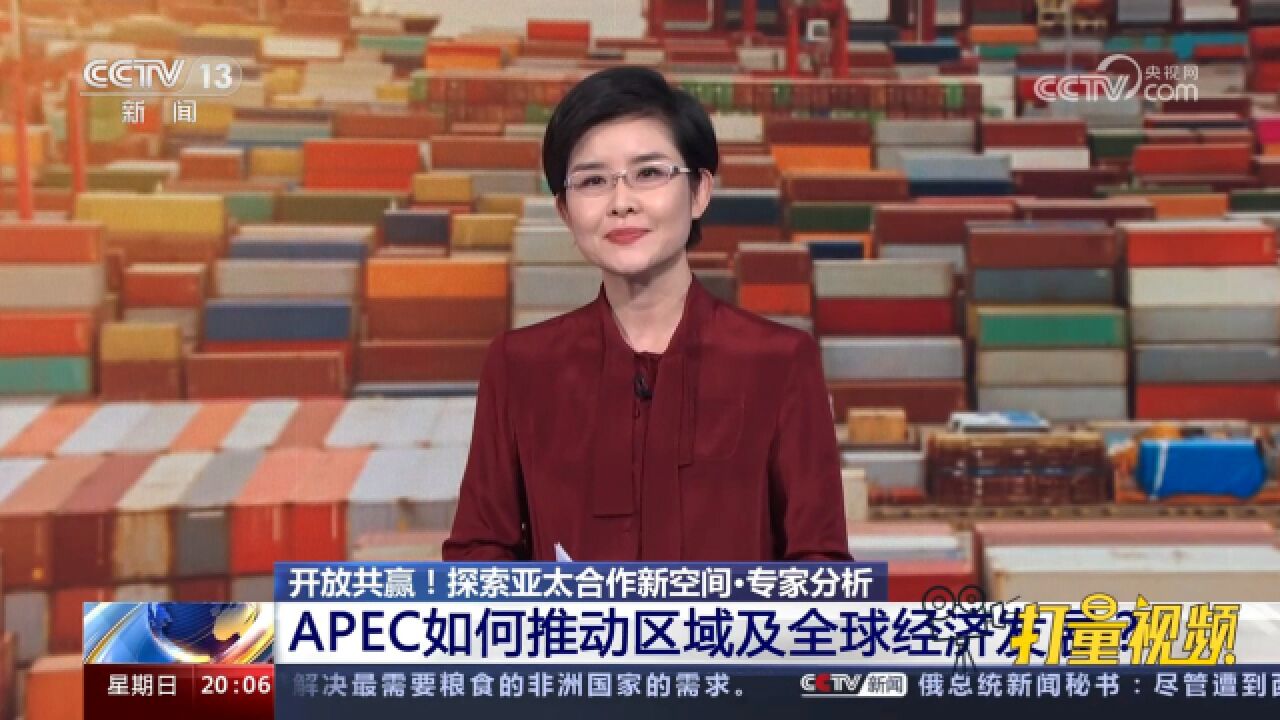 专家分析:APEC如何推动区域及全球经济发展?