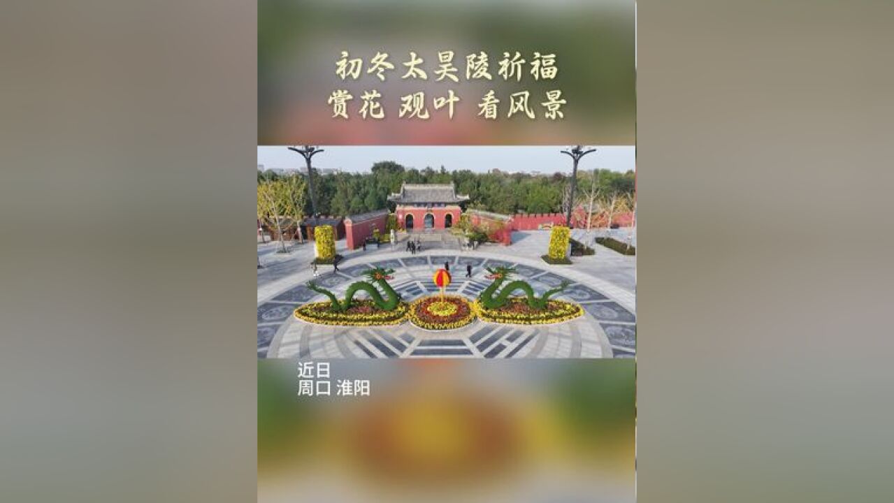 初冬太昊陵祈福 赏花 观叶 看风景