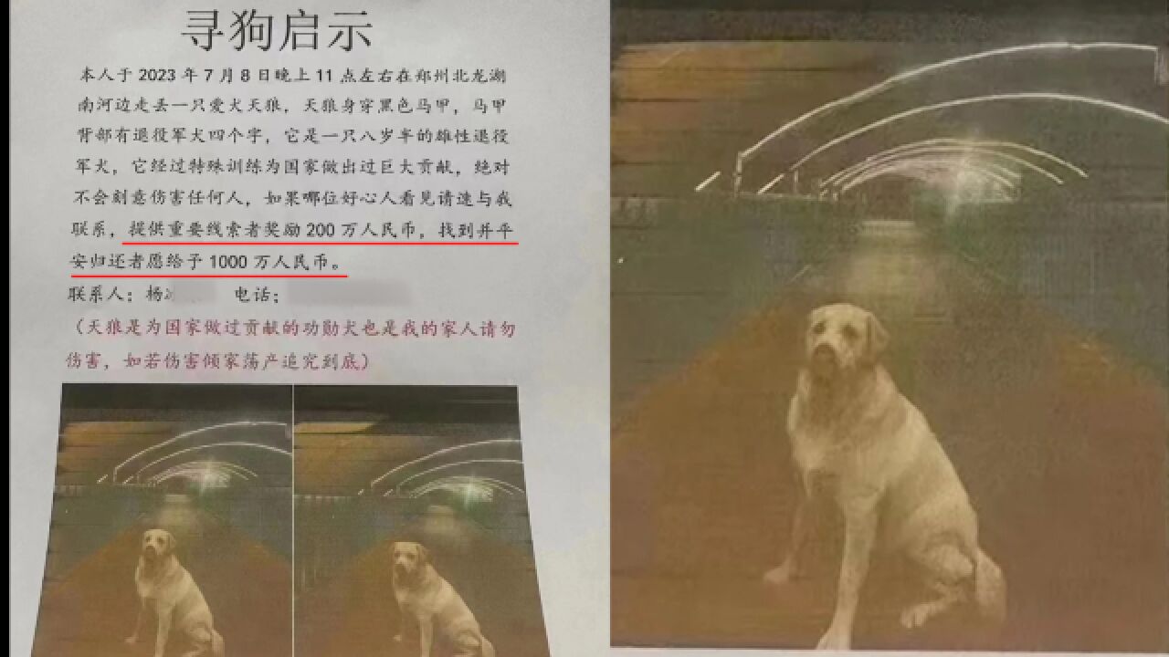 郑州狗主人悬赏1000万寻狗,其为功勋犬做过大贡献:如若伤害追究到底