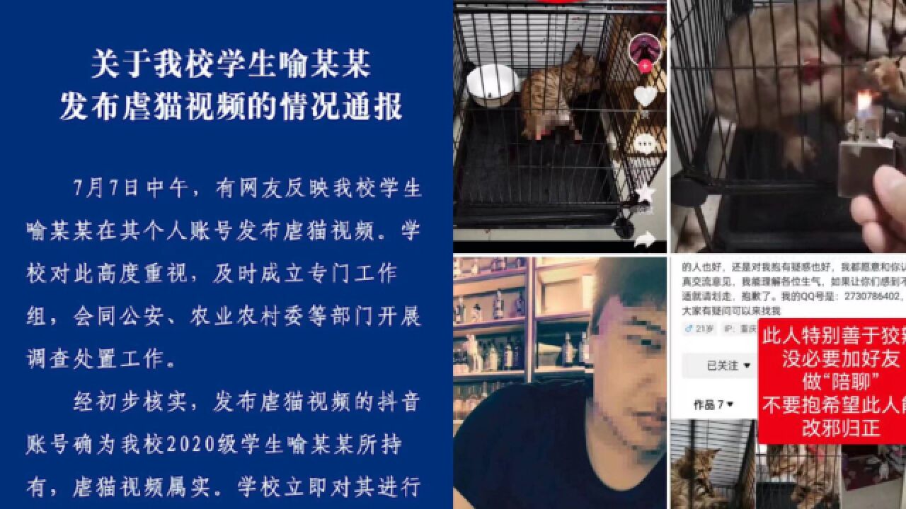 重庆高校通报“学生虐猫”:严肃批评教育,责令检讨,被曝已不是第一次