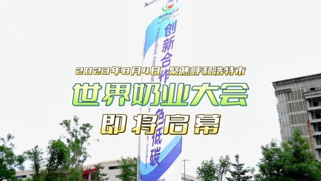 2023年8月4日聚焦呼和浩特市世界奶业大会即将启幕