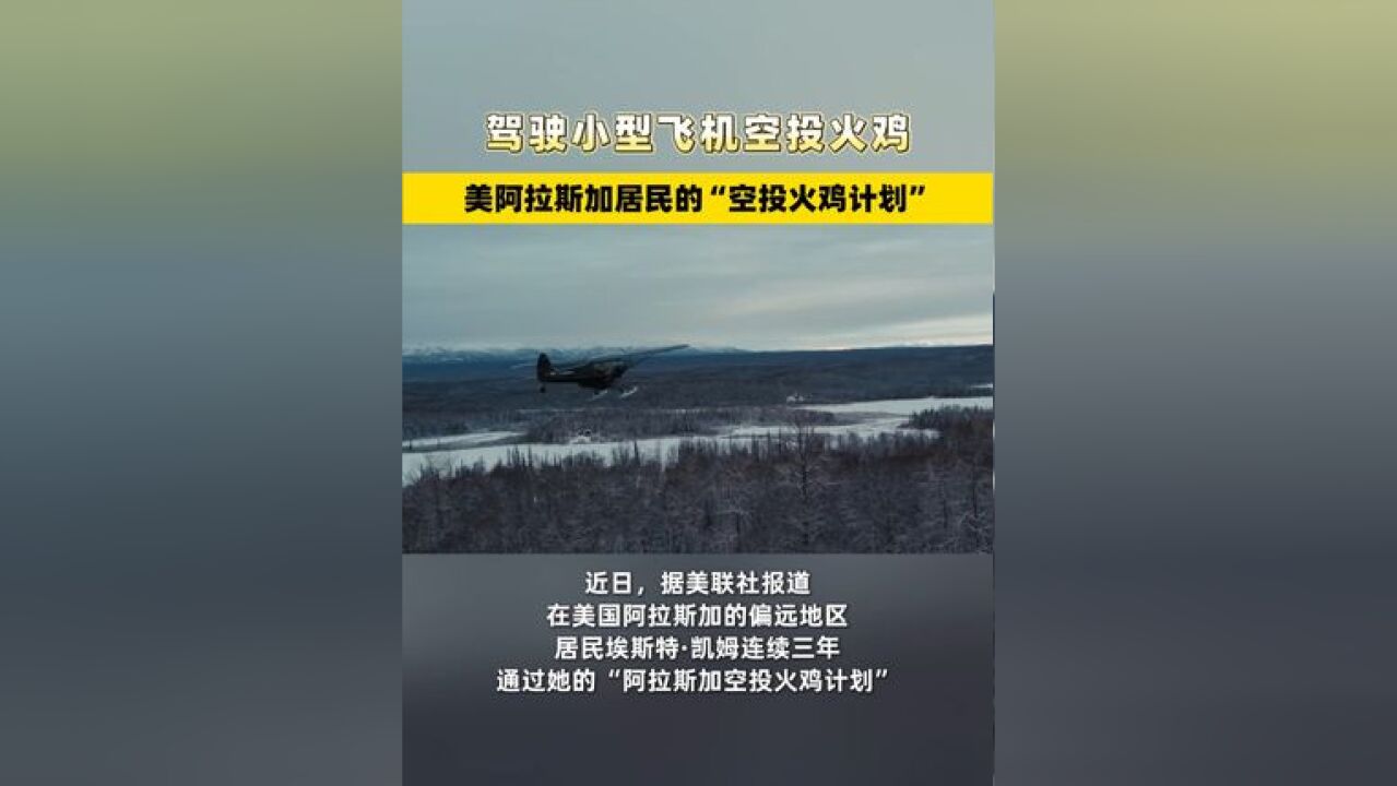 驾驶小型飞机空投火鸡,美阿拉斯加居民的“空投火鸡计划”