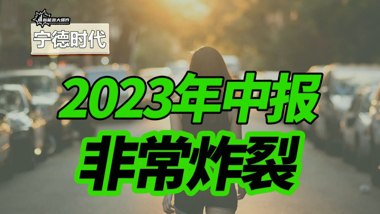 炸裂的中报,全球绝对龙头便宜到令人发指