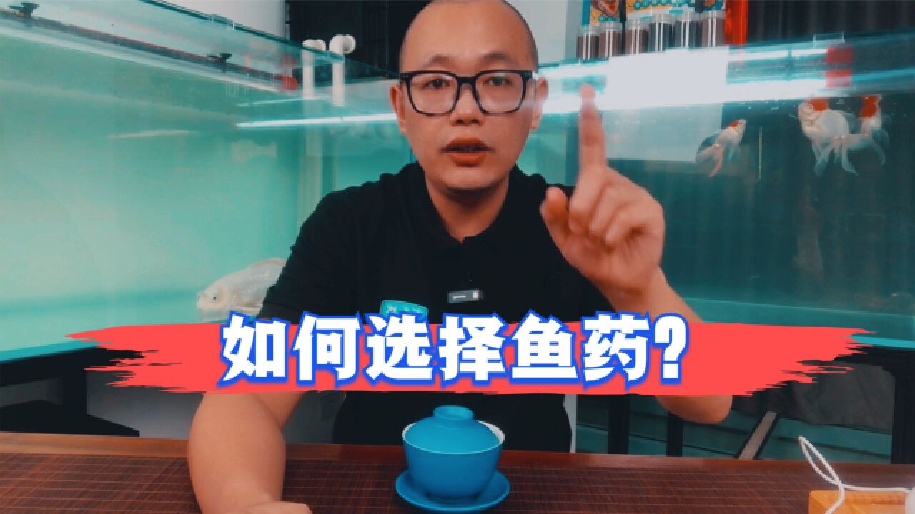 鱼得病了,如何选则鱼药?