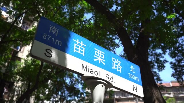 台湾苗栗县客人参观武汉苗栗路⠦„Ÿ叹“每一条路,都是回家的路”