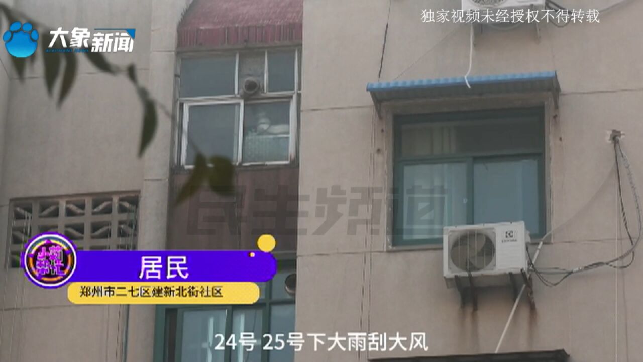 大树倾斜砸向家属楼,孩子树下玩耍吓坏居民,单位负责人:不知道这个事