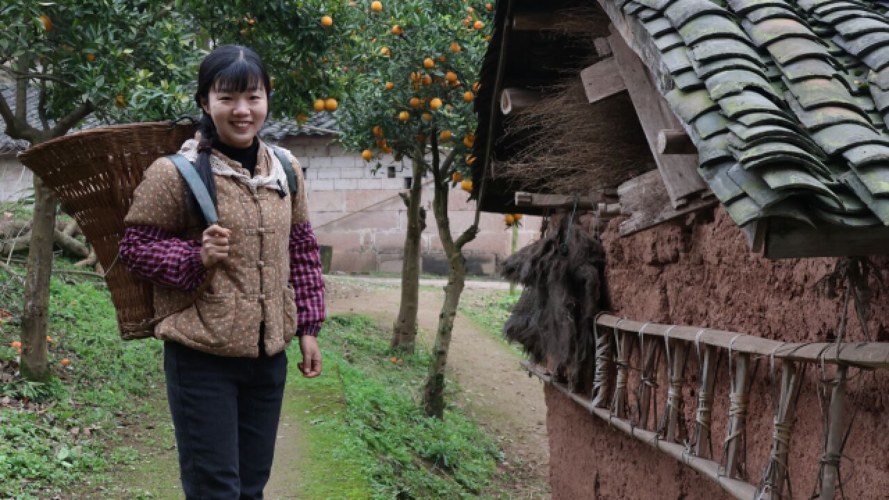 年前别慌别慌,致富卖野菜开始啦“神仙婆婆“第一个申请出战