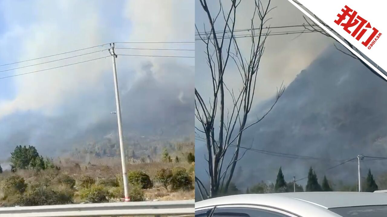 男子施工时火星窜入大棚外茅草丛内引起山火 警方:涉嫌失火罪被刑拘