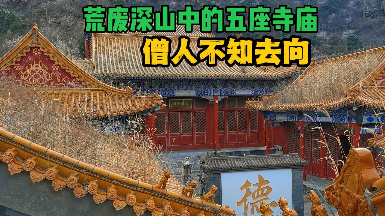 北京深山野岭5座寺庙,配套齐全无一僧人,如今野草丛生一片荒凉