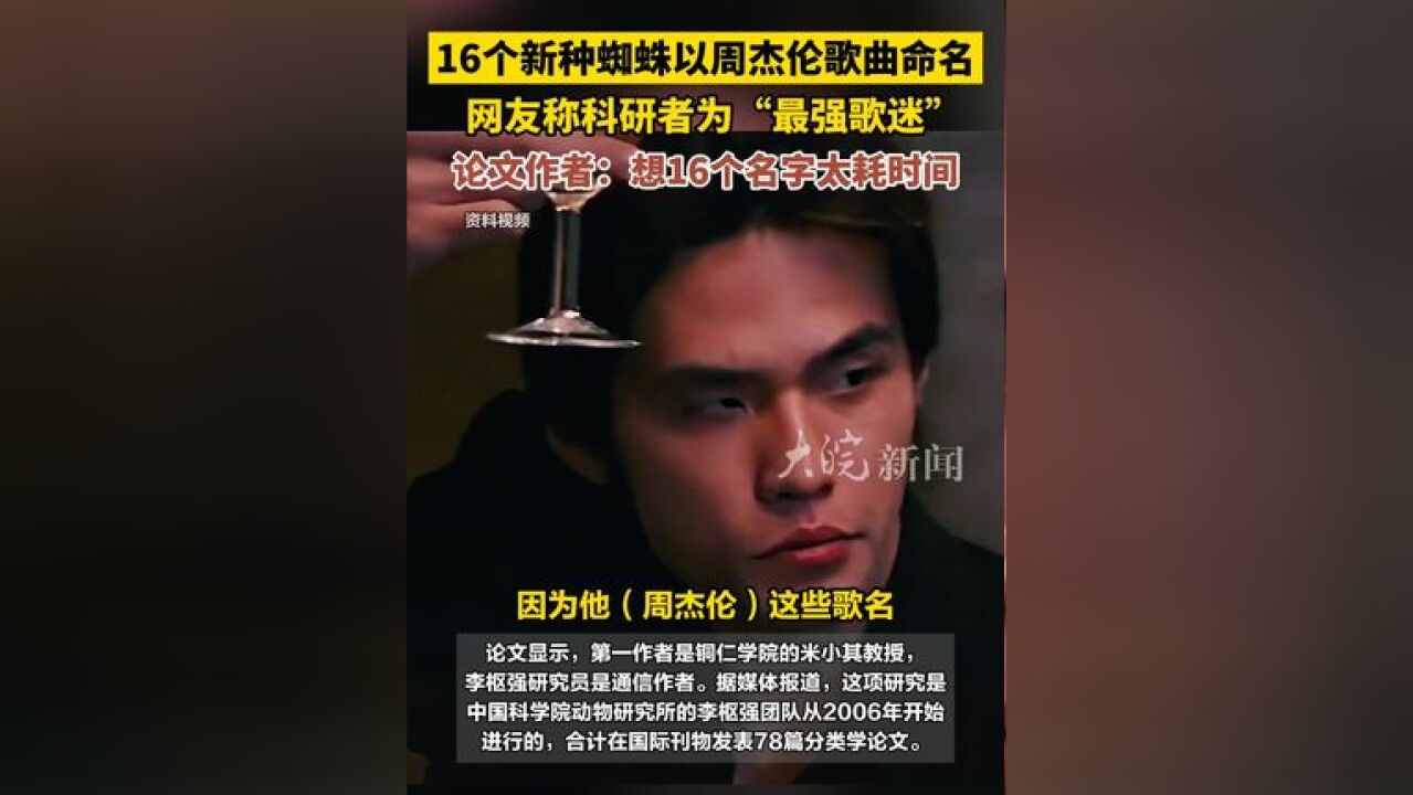 16个新种蜘蛛以周杰伦歌曲命名,网友称科研者为“最强歌迷”,论文作者:想16个名字太耗时间