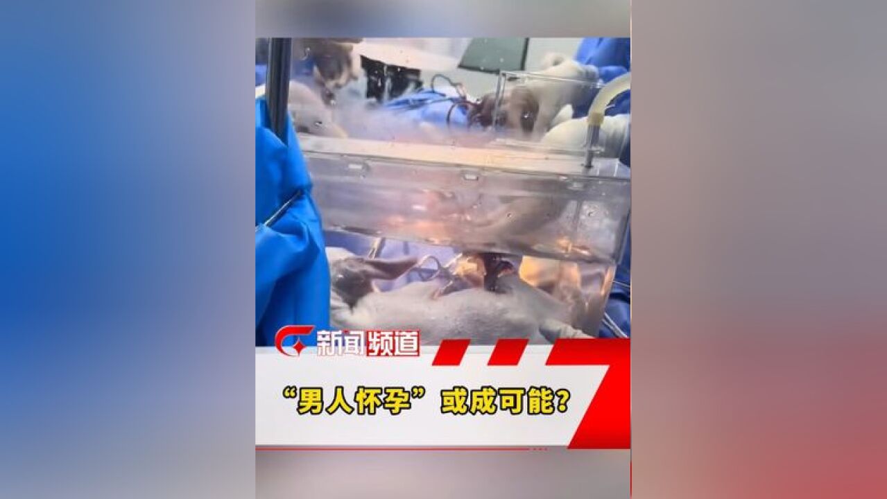 世界首例 ,动物实验已成功,中国90后医生研制“人造子宫”,网友:“男人怀孕”或成可能?