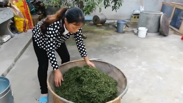 桂花茶很香,你知道怎么制作吗?大嫂在家自己制作桂花茶看看吧