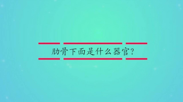 肋骨下面是什么器官?