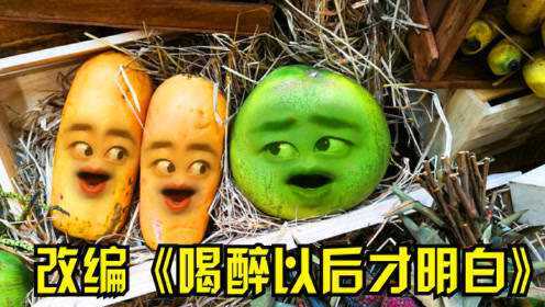 改编南瓜版《喝醉以后才明白》，夫妻共同才能创造美好明天