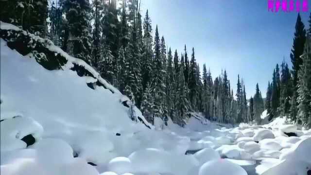 夏婉安超红古风歌曲《听雪》