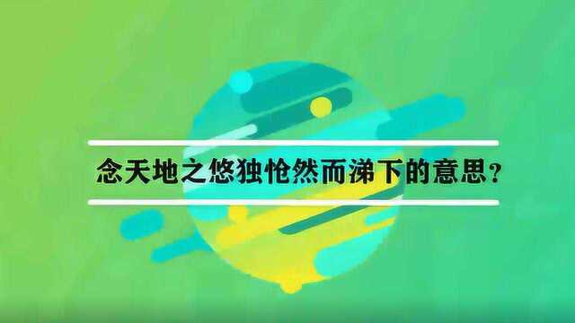 念天地之悠独怆然而涕下的意思?