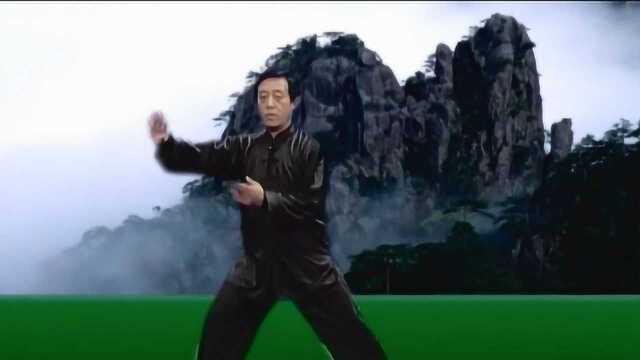 陈正雷|讲解陈氏太极拳养生功之缠丝劲:正面双手缠丝