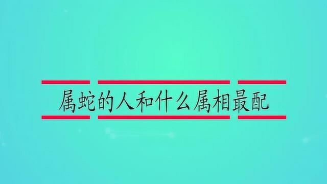 属蛇的人和什么属相最配