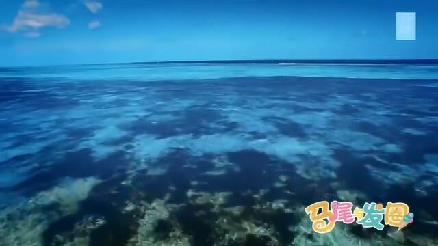 SNH48 夏日主题泳装MV《马尾与发圈》