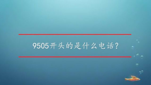 9505开头的是什么电话?