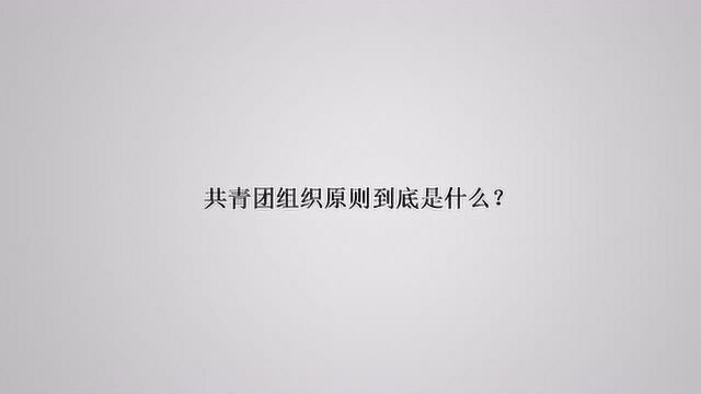 共青团组织原则到底是什么?