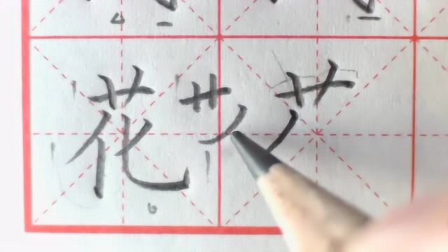 常用难写字“花”?写好它你只需要这几步!