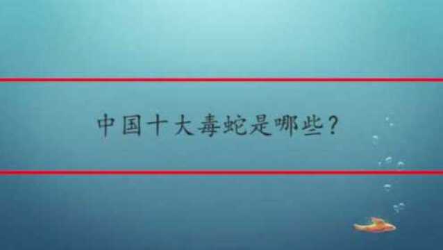 中国十大毒蛇是哪些?