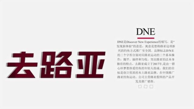 DNE去路亚丨品牌介绍