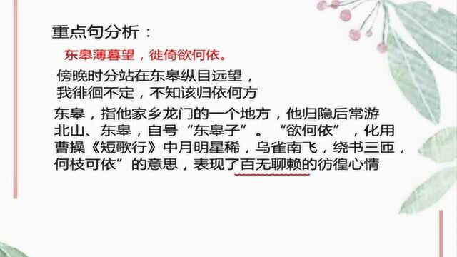 初中语文:古诗词《野望》赏析,重点字词翻译,助你轻松理解难点