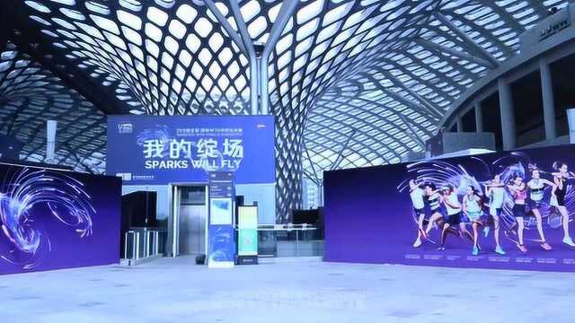 中智兴2019WTA年终总决赛项目回顾