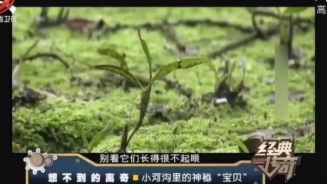 福宝山惊现岩洞土屋 翻阅县志找到答案 原来山上有价值连城的宝贝