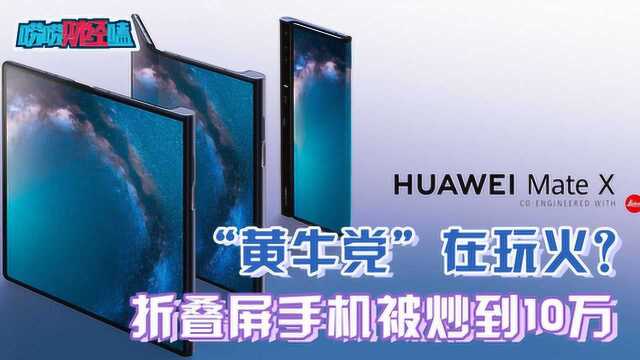 “黄牛党”在玩火? 折叠屏手机被炒到10万