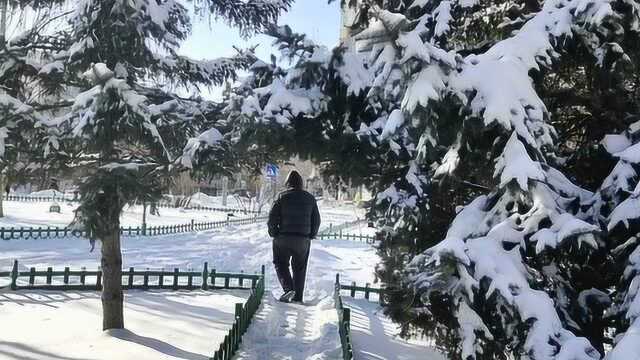 东北暴雪降临,小伙子户外吃雪,这雪有点甜?