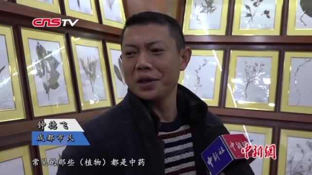 成都一中医医院创办中药标本馆引民众驻足