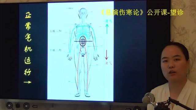 177中医望诊望肚脐诊病易演伤寒论ⷦœ›诊公开课