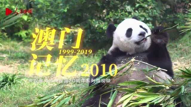 纪念澳门回归20周年:澳门记忆2010 熊猫“开开”“心心”落户澳门