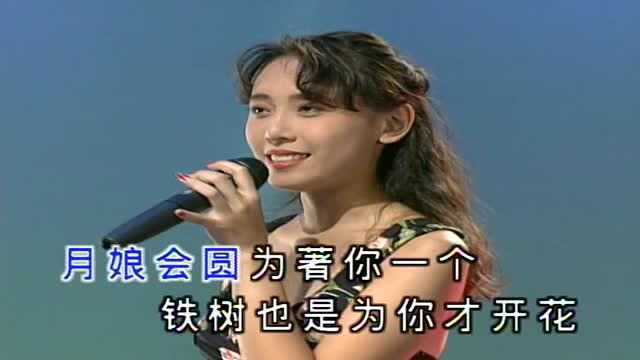 鲍悦君90年代十二大美女闽南语经典歌曲《真情放水流》现场版