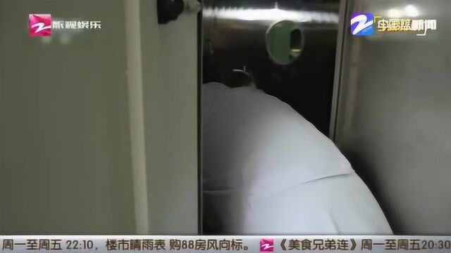 车载净化器到底要怎么挑选? 一定要记住这几点